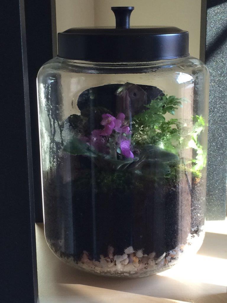 Terrarium