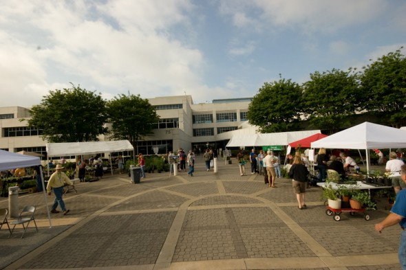 Master Gardener Plant Sale