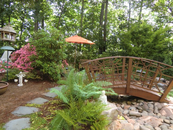 Sue Shaw's Garden