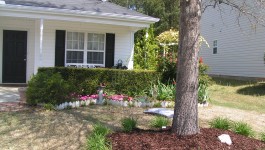 Well Done Master Gardeners_Front Yard