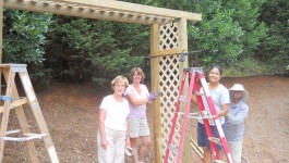 Arbor 023