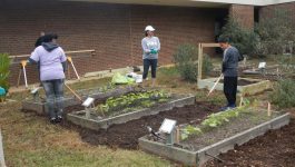 2019 Grant Awards