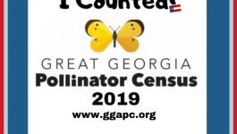 Great Georgia Pollinator Census