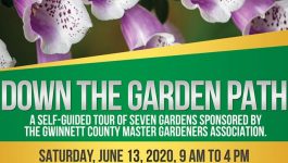 Garden Tour June 2020
